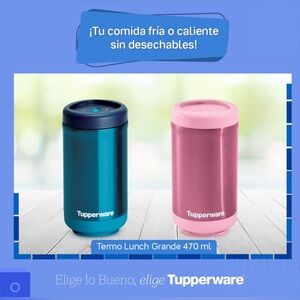 Tupperware Stacking Thermal Containers:Medium